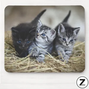 Tapis de souris CHATONS